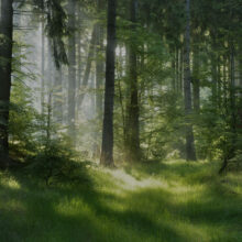 mets&auml;tila, mets&auml;&auml; myynniss&auml;, myyj&auml;n hinta, 000, Myy mets&auml;si